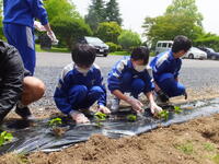 ボランティア作業４