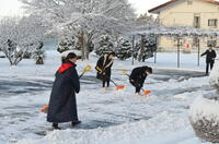 雪かきボランティア１